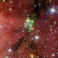Una giovane famiglia di stelle