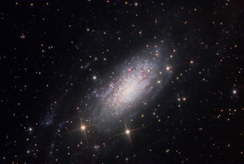 la galassia a spirale barrata NGC 3621