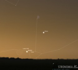 Congiunzione Luna - Venere - Giove - Pleiadi Congiunzione Luna - Venere - Giove - Pleiadi