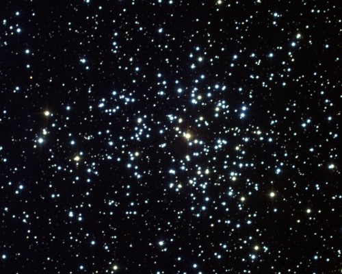 l'ammasso stellare M37