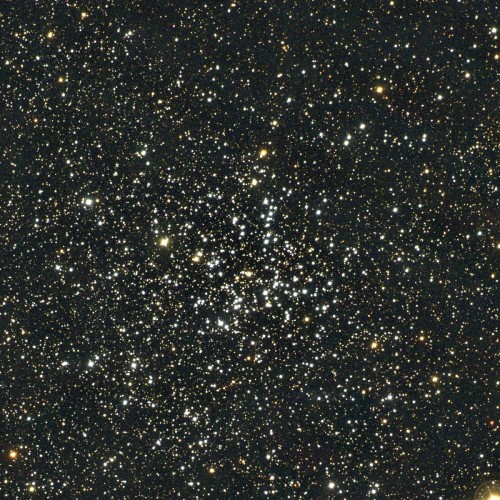 l'ammasso stellare M38