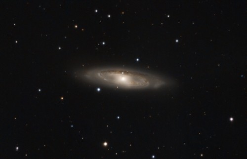 la galassia M65