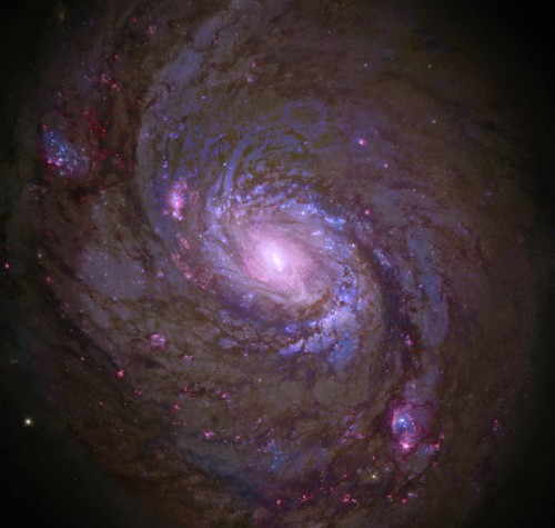 la splendida galassia M77