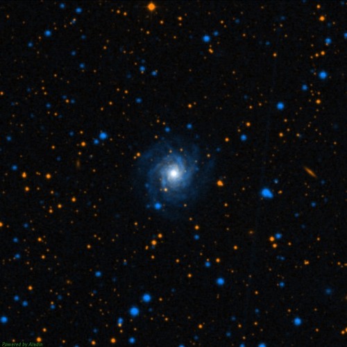 la piccola galassia NGC 7015