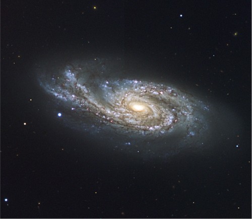 la galassia a spirale NGC 908