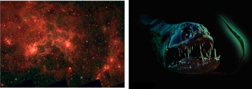 supergiganti nella Via latteaa