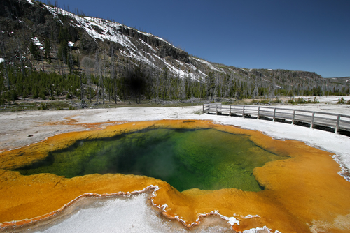 Il Parco di Yellowstone