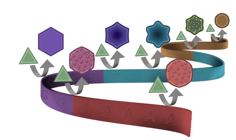 nano particelle d'oro