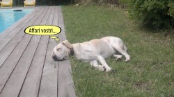 il riposo