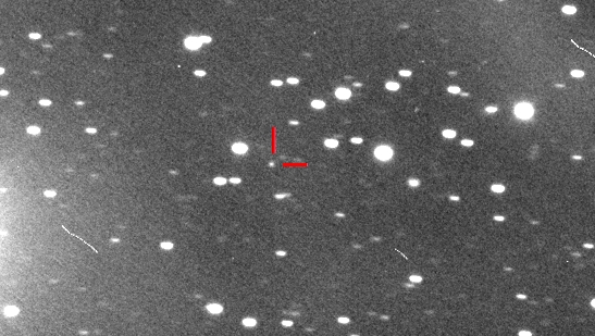 l'immagine della scoperta della cometa