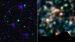 il filamento osservato da Herschel