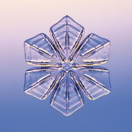 Simmetria di un cristallo di neve