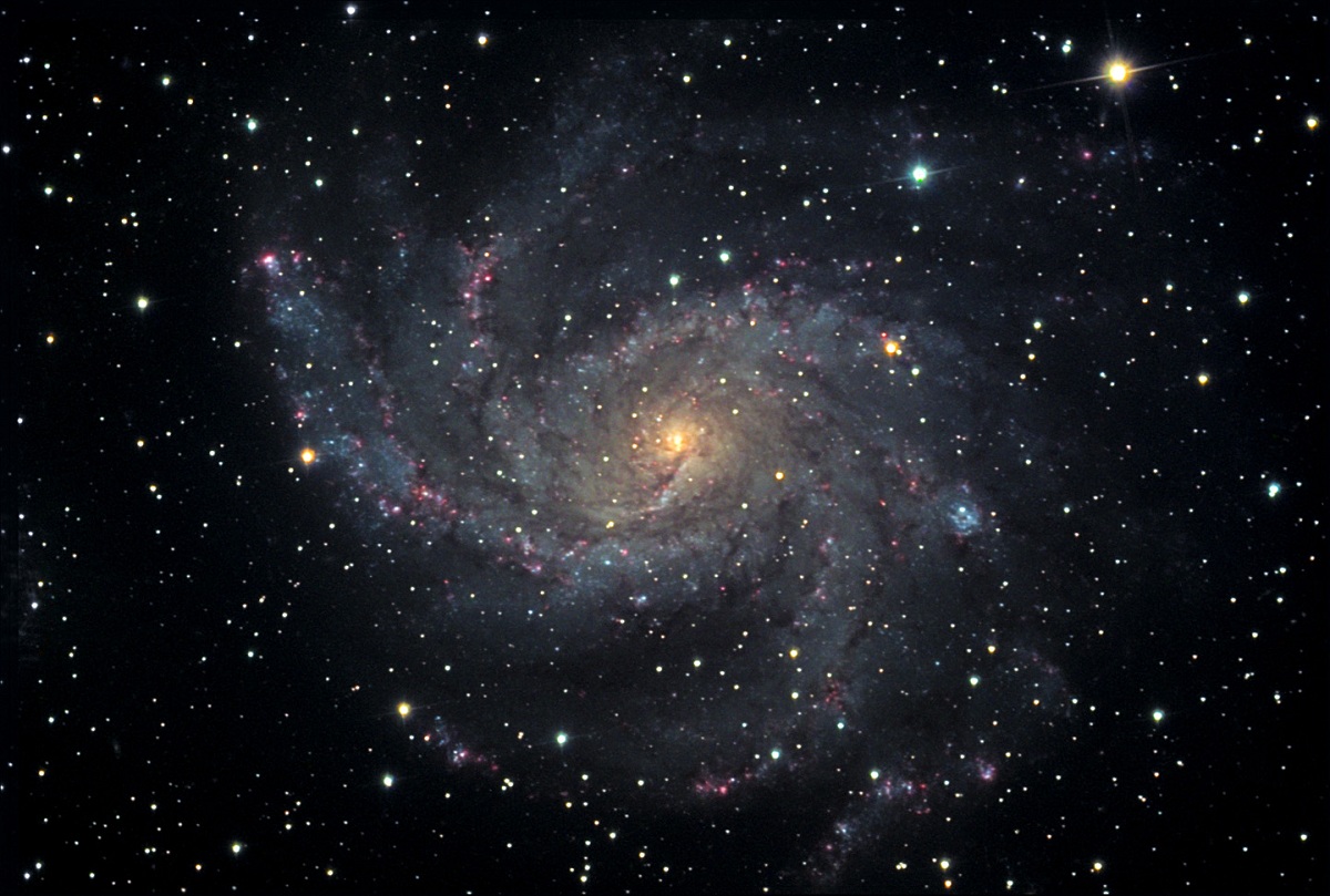 la galassia NGC 6946 (Fireworks Galaxy)