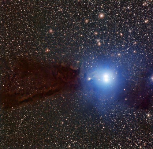 Lupus 3