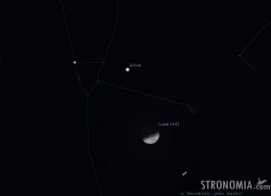 Congiunzione Luna - Pleiadi, giorno 17 ore 22 Congiunzione Luna - Pleiadi, giorno 17 ore 22
