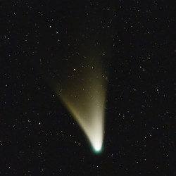 Cometa PanSTARRS