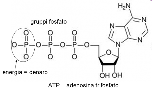 la formula dell'ATP