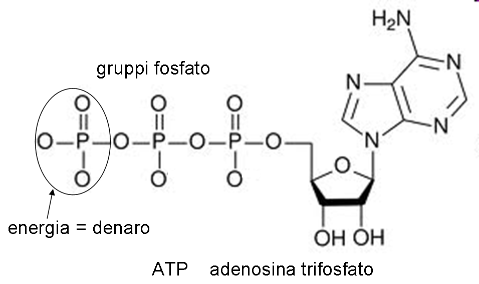 la formula dell'ATP