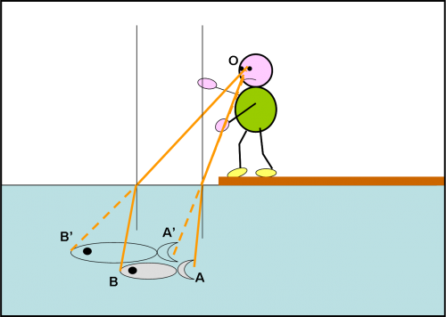Fig. 6