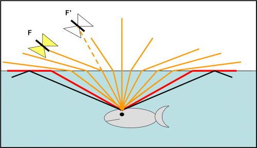 Fig. 7