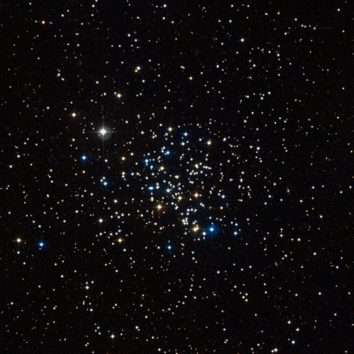 l'open cluster M67