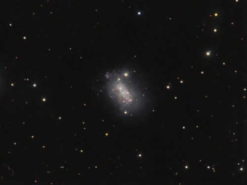 la galassia NGC 1156