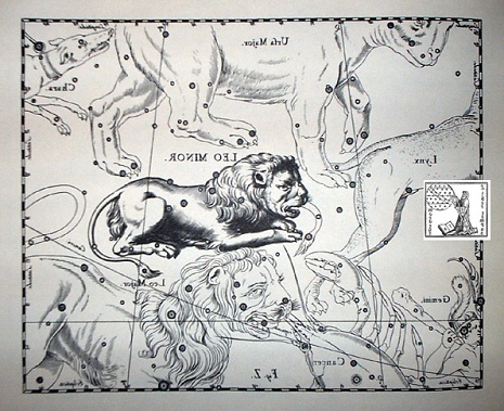 il Leone Minore secondo Hevelius