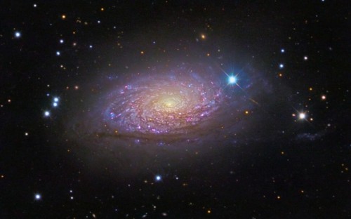 la Sunflower Galaxy