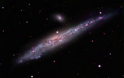 la Whale Galaxy