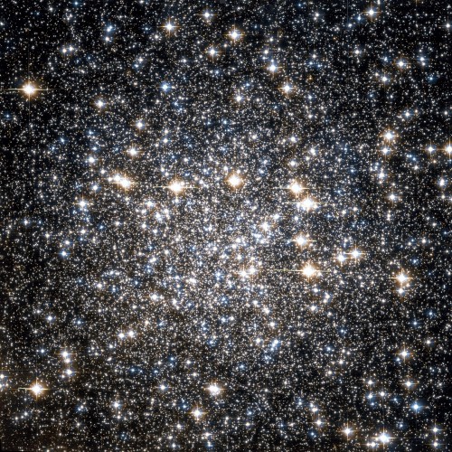 il globular cluster $NGC$ 4833
