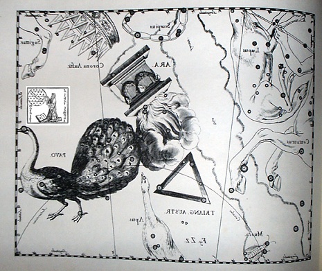il Triangolo secondo Hevelius