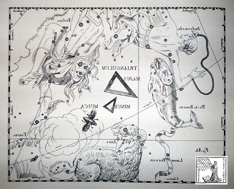 il Triangolo secondo Hevelius