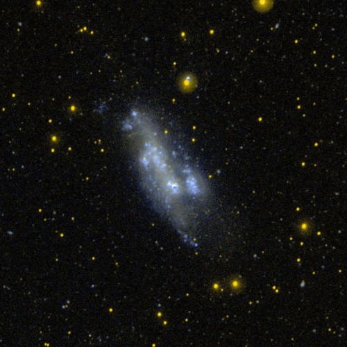 la $galassia$ irregolare $NGC$ 2366