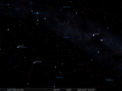 la Costellazione della Lucertola
