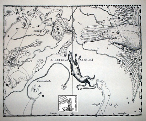 la Lucertola secondo Hevelius