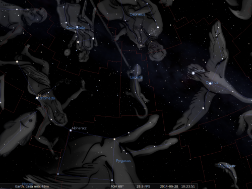 la Lucertola secondo Stellarium