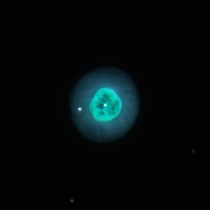 NGC1535, L'Occhio di Cleopatra