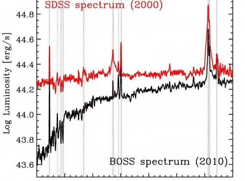 Il grafico mostra due spettri SDSS dell’oggetto in questione. Si notano bene le diverse luminosità in funzione della lunghezza d’onda tra le due epoche. In particolare, le righe rosse si riferiscono alle righe di Balmer dell’idrogeno che cambiano nettamente la loro forma: nello spettro rosso esse sono molto più larghe e forniscono una sorta di “impronta” del processo di accrescimento attorno al buco nero. Credit: SDSS/MPE.