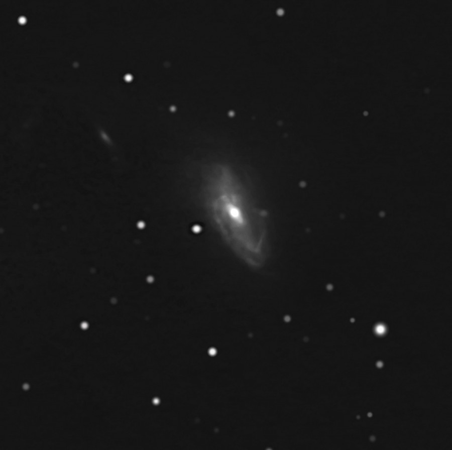 La Costellazione della Gru