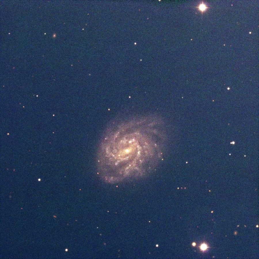 La Costellazione della Gru