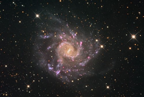 la splendida galassia a spirale barrata NGC 7424