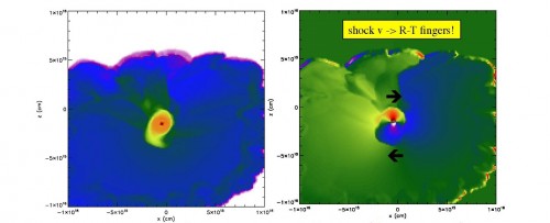 Queste immagini mostrano alcuni momenti delle simulazioni relative al piano centrale di un disco ruotante che orbita attorno a una protostella (puntino nero) secondo un modello 3D del collasso di una nube molecolare di gas e polvere causato dal passaggio di un’onda d’urto. A sinistra è rappresentata la densità, mentre a destra il grafico delle velocità mostra come l’onda d’urto (fronte più esterno) abbia prodotto delle rientranze a forma di dito responsabili della rotazione del disco attorno alla protostella centrale. Crediti: Alan Boss