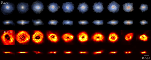 Un campione di 10 galassie massive a disco (viste sia frontalmente che di taglio) selezionate dalla simulazione BlueTides a redshift z=8, così come dovevano apparire 500 milioni di anni dopo il Big Bang secondo i dati di Yu Feng et al. I risultati suggeriscono che le prime galassie massive erano per la maggior parte a forma di disco. Credit: Feng et al. 2015
