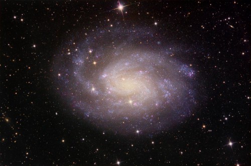 la galassia a spirale NGC 300