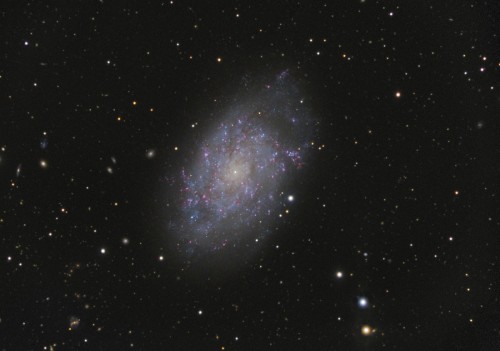 la galassia a spirale NGC 7793