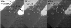 Immagini di uno dei puntoni di Phoenix ripreso dalla camera a braccio robotico del lander nei Soli (giorni Marziani) 8, 31, e 44 dell'emissione. I due sferoidi racchiusi dal cerchio sembrano unirsi l'uno con l'altro, il che fa presumere ad alcuni scienziati di Phoenix che si tratta di un segno che i globuli siano acqua liquida. Credit: Renno, et al., NASA