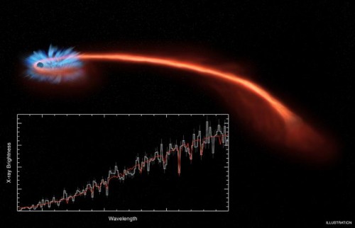 L’immagine illustra l’evento di distruzione mareale ASASSN-14li in cui viene mostrata la formazione di un disco di accrescimento composto dal materiale stellare. Si nota poi una lunga coda mareale formata dai resti della materia espulsa che si estende a grandi distanze dal buco nero. Gli spettri X ottenuti da Chandra e da XMM-Newton mostrano entrambi chiare evidenze della presenza di abbassamenti del flusso X in un breve intervallo di lunghezze d’onda e rispetto a quanto ci si aspetta sono spostate verso la parte più blu, un fatto legato alla presenza di un vento che si genera a partire dalle regioni più interne verso lo spazio. Credit: NASA/CXC/M. Weiss