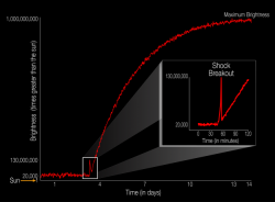 Il diagramma illustra il profilo di luminosità di un evento di supernova riferito a una scala dove 1 è la luminosità emessa dal Sole. Nell’inserto è mostrato l’effetto dell’onda d’urto, che dura in tutto circa 20 minuti. Grazie allo sguardo costante del telescopio spaziale Kepler della NASA è stato possibile vedere in diretta questo flash emesso dalla stella KSN 2011D. Crediti: NASA Ames/W. Stenzel