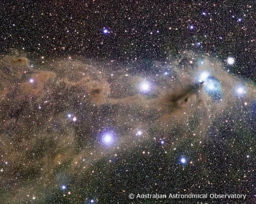 la bella nebulosa della Corona Australe