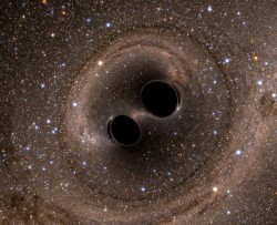 Rappresentazione artistica dei due buchi neri all’origine delle onde gravitazionali rivelate da LIGO. Crediti: SXS Lensing